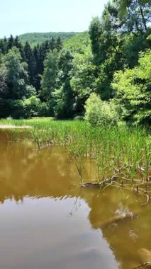 Bulgaristan 'ın Vitosha Dağı' nın Muhteşem Bahar Panoraması Boyana Gölü, düzenli