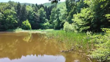 Bulgaristan 'ın Vitosha Dağı' nın Muhteşem Bahar Panoraması Boyana Gölü, düzenli