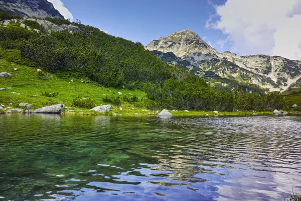Paisagem de colinas verdes e rio em Pirin Mountain — Fotografia de Stock