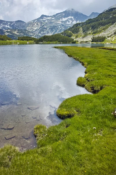 Muratovo Gölü, Pirin Dağı çevresinde yeşil çayırlar şaşırtıcı görünümü — Stok fotoğraf