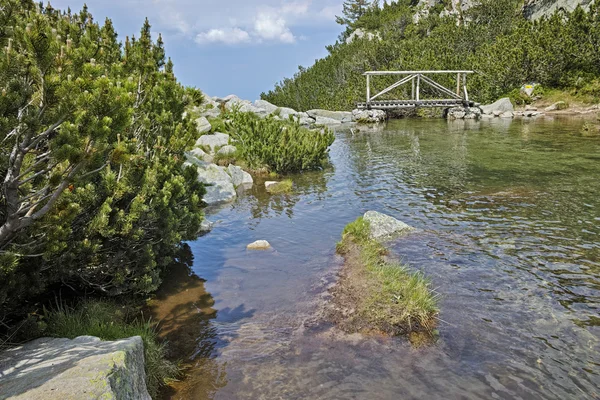 Landscape with wooden bridge over river in Pirin Mountain — Stock Photo, Image