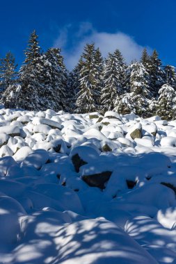 Bulgaristan 'ın Sofya Şehir Bölgesi, Vitosha Dağı' nın İnanılmaz Kış manzarası