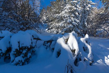 Bulgaristan 'ın Sofya Şehir Bölgesi, Vitosha Dağı' nın İnanılmaz Kış manzarası