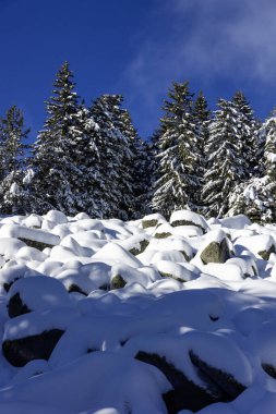 Bulgaristan 'ın Sofya Şehir Bölgesi, Vitosha Dağı' nın İnanılmaz Kış manzarası