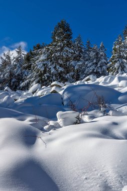 Bulgaristan 'ın Sofya Şehir Bölgesi, Vitosha Dağı' nın İnanılmaz Kış manzarası