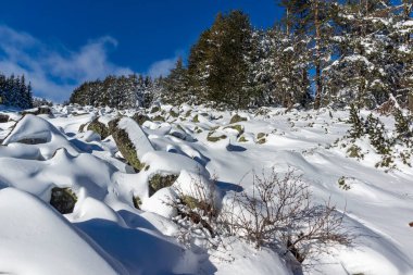 Bulgaristan 'ın Sofya Şehir Bölgesi, Vitosha Dağı' nın İnanılmaz Kış manzarası