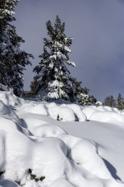 Bulgaristan 'ın Sofya Şehir Bölgesi, Vitosha Dağı' nın İnanılmaz Kış manzarası