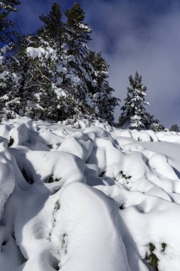 Bulgaristan 'ın Sofya Şehir Bölgesi, Vitosha Dağı' nın İnanılmaz Kış manzarası