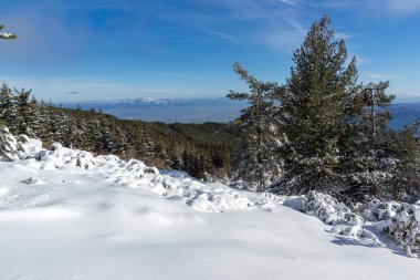 Bulgaristan 'ın Sofya Şehir Bölgesi, Vitosha Dağı' nın İnanılmaz Kış manzarası