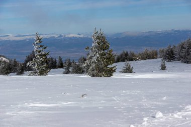 Bulgaristan 'ın Sofya Şehir Bölgesi, Vitosha Dağı' nın İnanılmaz Kış manzarası