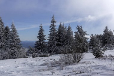 Bulgaristan 'ın Sofya Şehir Bölgesi, Vitosha Dağı' nın İnanılmaz Kış manzarası