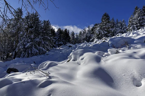 Bulgaristan 'ın Sofya Şehir Bölgesi, Vitosha Dağı' nın İnanılmaz Kış manzarası