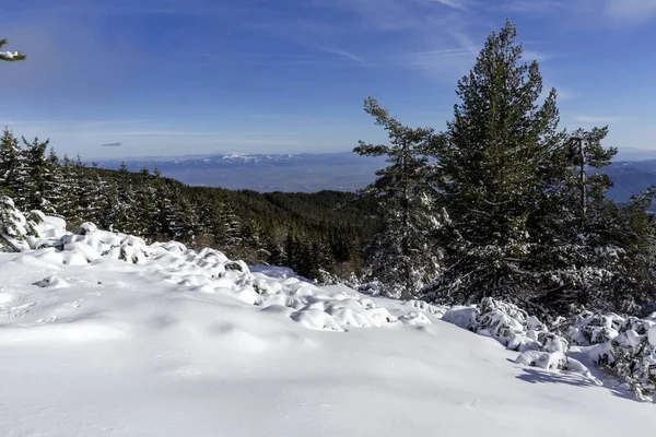 Bulgaristan 'ın Sofya Şehir Bölgesi, Vitosha Dağı' nın İnanılmaz Kış manzarası