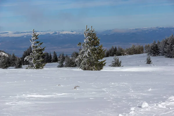 Bulgaristan 'ın Sofya Şehir Bölgesi, Vitosha Dağı' nın İnanılmaz Kış manzarası