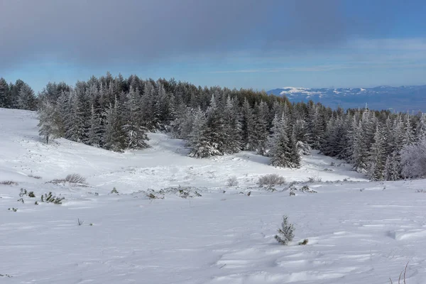 Bulgaristan 'ın Sofya Şehir Bölgesi, Vitosha Dağı' nın İnanılmaz Kış manzarası
