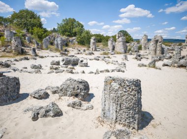 Pobiti Kamani (Upright Stones), Varna bölgesi, Bulgaristan