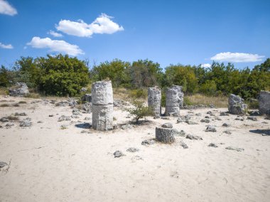 Pobiti Kamani (Upright Stones), Varna bölgesi, Bulgaristan