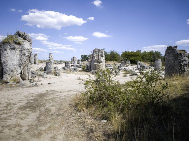 Pobiti Kamani (Upright Stones), Varna bölgesi, Bulgaristan