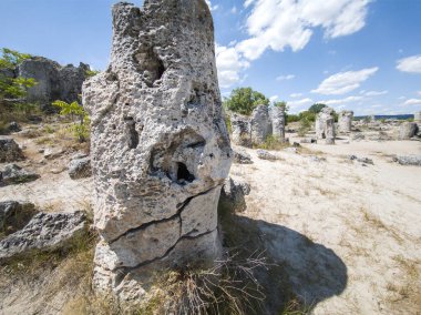 Pobiti Kamani (Upright Stones), Varna bölgesi, Bulgaristan