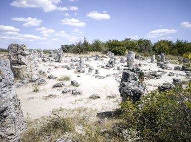Pobiti Kamani (Upright Stones), Varna bölgesi, Bulgaristan