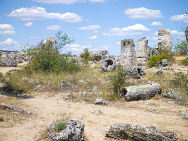 Pobiti Kamani (Upright Stones), Varna bölgesi, Bulgaristan