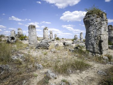 Pobiti Kamani (Upright Stones), Varna bölgesi, Bulgaristan
