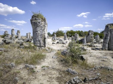 Pobiti Kamani (Upright Stones), Varna bölgesi, Bulgaristan