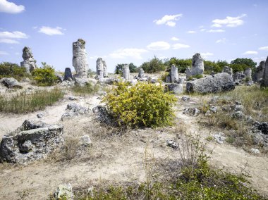 Pobiti Kamani (Upright Stones), Varna bölgesi, Bulgaristan