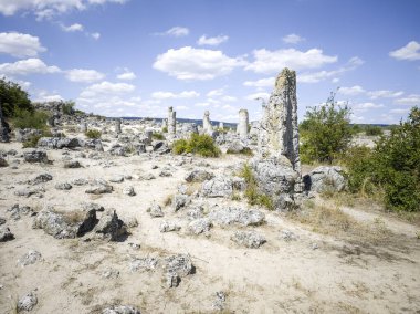 Pobiti Kamani (Upright Stones), Varna bölgesi, Bulgaristan