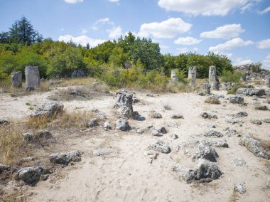 Pobiti Kamani (Upright Stones), Varna bölgesi, Bulgaristan