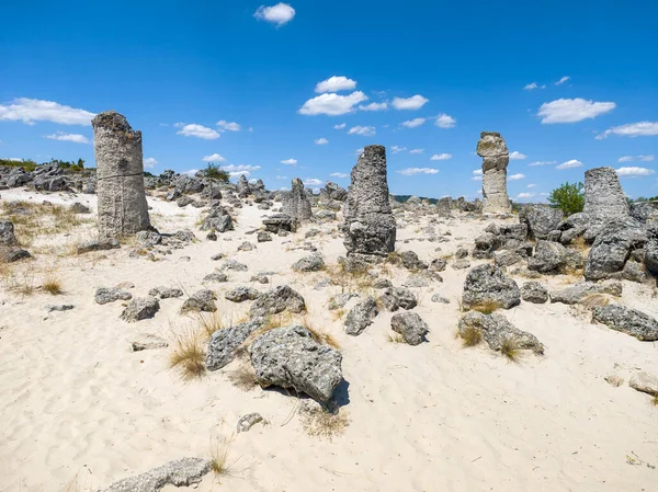 Pobiti Kamani (Upright Stones), Varna bölgesi, Bulgaristan