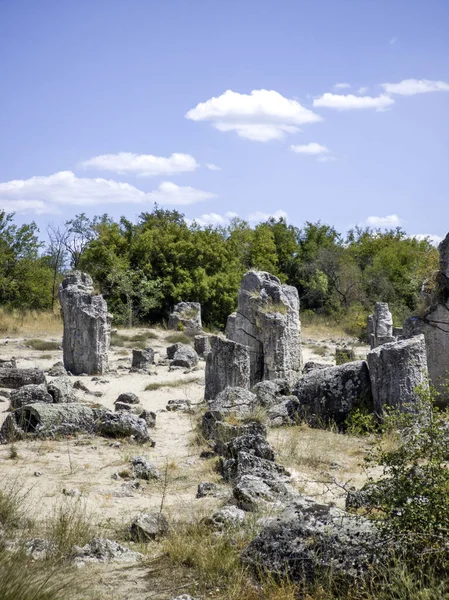 Pobiti Kamani (Upright Stones), Varna bölgesi, Bulgaristan
