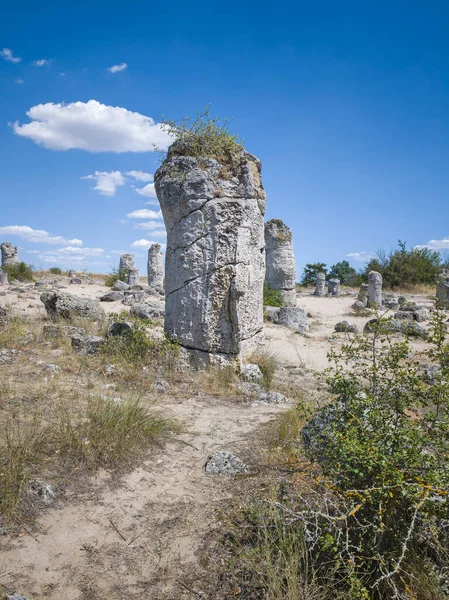 Pobiti Kamani (Upright Stones), Varna bölgesi, Bulgaristan
