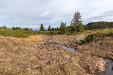 Bulgaristan 'ın Kamen Del zirvesi yakınlarındaki Vitosha Dağı' nın şaşırtıcı sonbahar manzarası