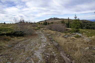 Bulgaristan 'ın Kamen Del zirvesi yakınlarındaki Vitosha Dağı' nın şaşırtıcı sonbahar manzarası