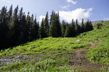 Bulgaristan 'ın Vitosha Dağı' nın İnanılmaz Bahar Manzarası