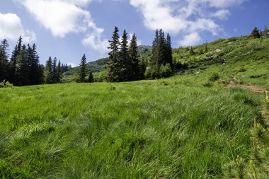 Bulgaristan 'ın Vitosha Dağı' nın İnanılmaz Bahar Manzarası