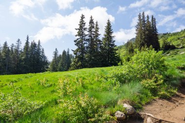 Bulgaristan 'ın Vitosha Dağı' nın İnanılmaz Bahar Manzarası