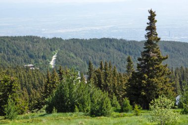 Bulgaristan 'ın Vitosha Dağı' nın İnanılmaz Bahar Manzarası