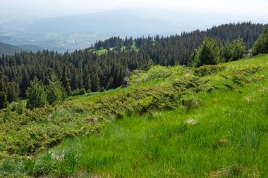 Bulgaristan 'ın Vitosha Dağı' nın İnanılmaz Bahar Manzarası