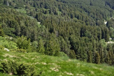 Bulgaristan 'ın Vitosha Dağı' nın İnanılmaz Bahar Manzarası