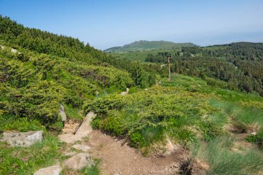 Bulgaristan 'ın Vitosha Dağı' nın İnanılmaz Bahar Manzarası