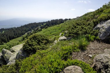 Bulgaristan 'ın Vitosha Dağı' nın İnanılmaz Bahar Manzarası
