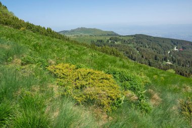 Bulgaristan 'ın Vitosha Dağı' nın İnanılmaz Bahar Manzarası