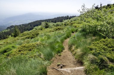 Bulgaristan 'ın Vitosha Dağı' nın İnanılmaz Bahar Manzarası