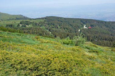 Bulgaristan 'ın Vitosha Dağı' nın İnanılmaz Bahar Manzarası