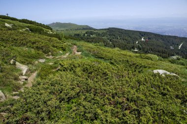 Bulgaristan 'ın Vitosha Dağı' nın İnanılmaz Bahar Manzarası