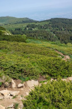 Bulgaristan 'ın Vitosha Dağı' nın İnanılmaz Bahar Manzarası