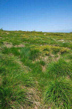 Bulgaristan 'ın Vitosha Dağı' nın İnanılmaz Bahar Manzarası