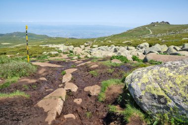 Bulgaristan 'ın Vitosha Dağı' nın İnanılmaz Bahar Manzarası